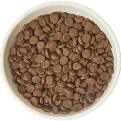 Frisco Double-Sided Ceramic Elevated Cat Bowl -Pet Cat Store 232081 PT3. AC SS1800 V1605145964