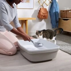 Frisco Micro Crystal Unscented Clumping Crystal Cat Litter -Pet Cat Store 232119 PT4. AC SS1800 V1660944685