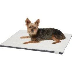 Frisco Self Warming Pillow Rectangular Pet Bed -Pet Cat Store 232177 PT2. AC SS1800 V1600351596