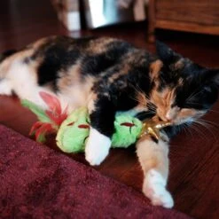 Frisco Holiday Christmas Tree Plush Kicker Cat Toy With Catnip 8 Frisco Holiday Christmas Tree Plush Kicker Cat Toy With Catnip -Pet Cat Store 233305 PT2. AC SS1800 V1602172376