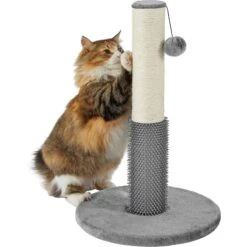 Frisco 21-in Sisal Cat Scratching Post With Toy & Groomer 10 Frisco 21-in Sisal Cat Scratching Post With Toy & Groomer -Pet Cat Store 236533 PT2. AC SS1800 V1615987395