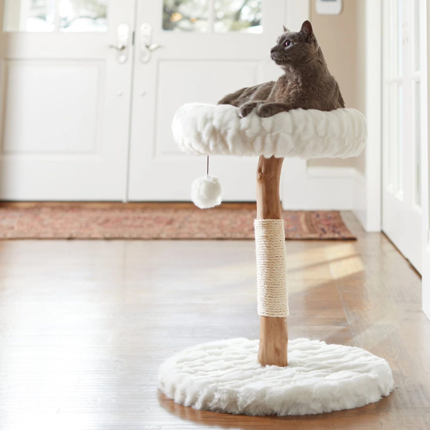 Frisco Natural Wood Modern Cat Tree With Toy, Ivory, Small 3 Frisco Natural Wood Modern Cat Tree With Toy, Ivory, Small