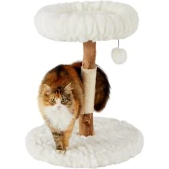 Frisco Natural Wood Modern Cat Tree With Toy, Ivory, Small 10 Frisco Natural Wood Modern Cat Tree With Toy, Ivory, Small -Pet Cat Store 236559 PT2. AC SS1800 V1615987338