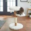 Frisco Natural Wood Modern Cat Tree With Toy, Ivory, Medium 1 Frisco Natural Wood Modern Cat Tree With Toy, Ivory, Medium -Pet Cat Store 236561 MAIN. AC SS1800 V1616521947