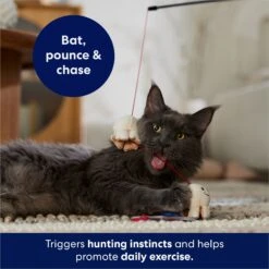 Frisco Zoomies & Chill Popcorn Teaser Wand Cat Toy With Catnip -Pet Cat Store 241713 PT5. AC SS1800 V1691785246