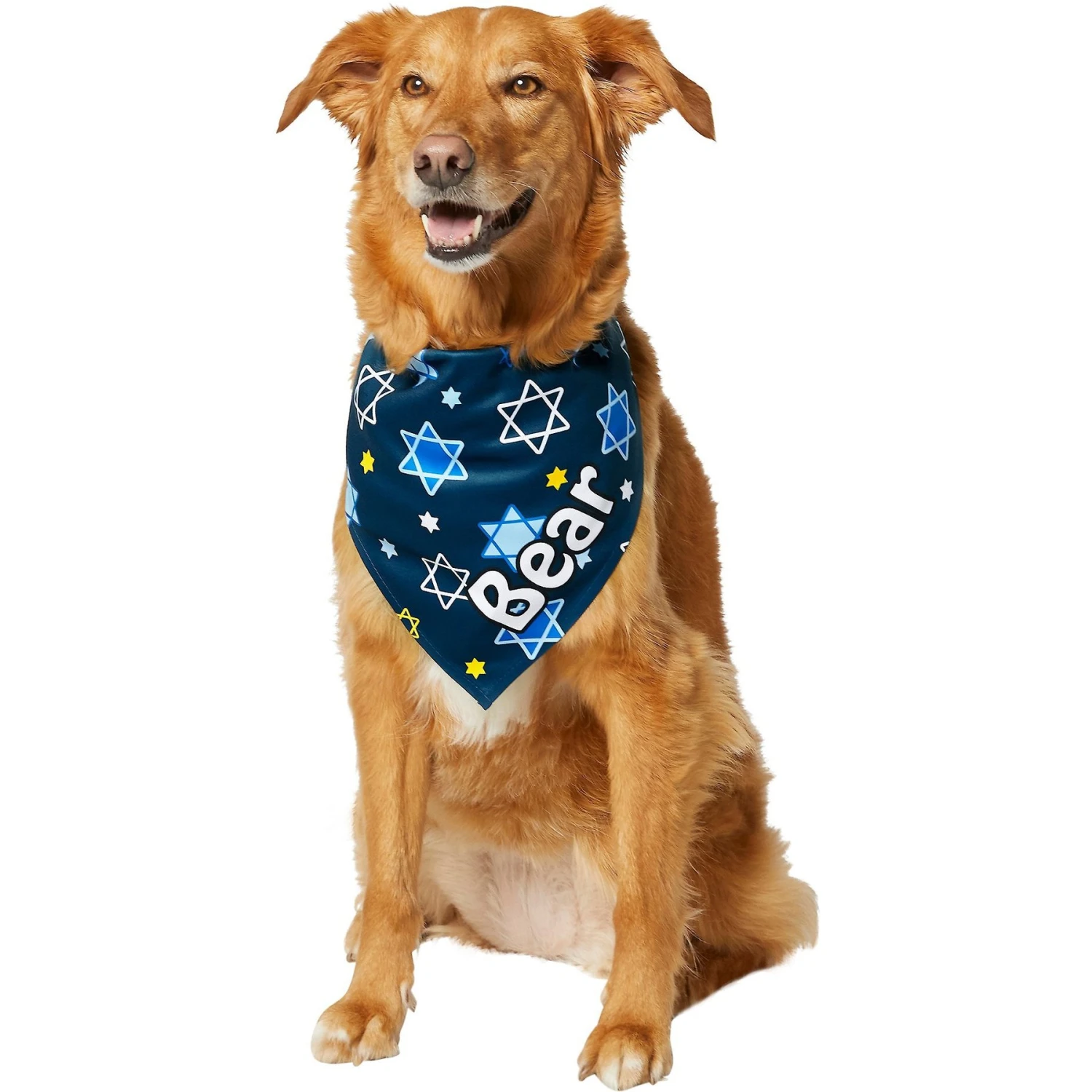 Frisco Hanukkah Personalized Dog & Cat Bandana 9 Frisco Hanukkah Personalized Dog & Cat Bandana - Image 7