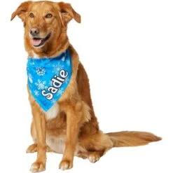 Frisco Blue Snowflakes Personalized Dog & Cat Bandana 16 Frisco Blue Snowflakes Personalized Dog & Cat Bandana -Pet Cat Store 242803 PT6. AC SS1800 V1618511278