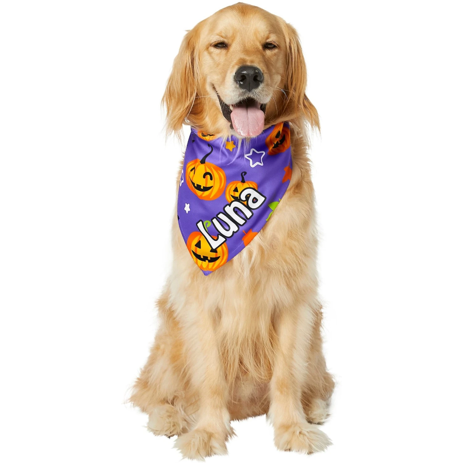 Frisco Halloween Pumpkins Personalized Dog & Cat Bandana 9 Frisco Halloween Pumpkins Personalized Dog & Cat Bandana - Image 7