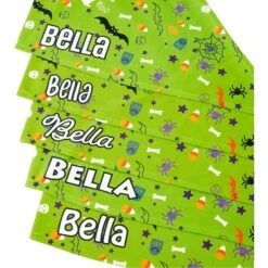 Frisco Halloween Boo! Personalized Dog & Cat Bandana 14 Frisco Halloween Boo! Personalized Dog & Cat Bandana -Pet Cat Store 244583 PT4. AC SS1800 V1618508254