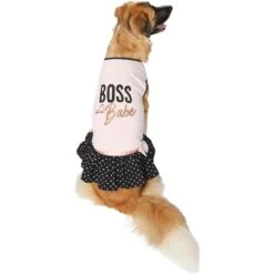 Frisco Boss Babe Dog & Cat Dress -Pet Cat Store 248674 PT2. AC SS1800 V1633060572