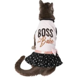 Frisco Boss Babe Dog & Cat Dress -Pet Cat Store 248674 PT3. AC SS1800 V1633074669