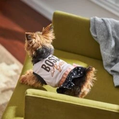 Frisco Boss Babe Dog & Cat Dress -Pet Cat Store 248674 PT7. AC SS1800 V1613666625