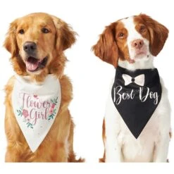 Frisco Wedding Reversible Dog & Cat Bandana 13 Frisco Wedding Reversible Dog & Cat Bandana -Pet Cat Store 248712 PT2. AC SS1800 V1632429387
