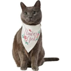 Frisco Wedding Reversible Dog & Cat Bandana 14 Frisco Wedding Reversible Dog & Cat Bandana -Pet Cat Store 248712 PT3. AC SS1800 V1632431176