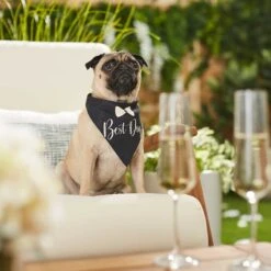 Frisco Wedding Reversible Dog & Cat Bandana 16 Frisco Wedding Reversible Dog & Cat Bandana -Pet Cat Store 248712 PT5. AC SS1800 V1632432987