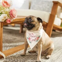 Frisco Wedding Reversible Dog & Cat Bandana 17 Frisco Wedding Reversible Dog & Cat Bandana -Pet Cat Store 248712 PT6. AC SS1800 V1632430655