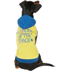 Frisco Leader Of The Pack Dog & Cat Hoodie -Pet Cat Store 248905 PT2. AC SS1800 V1637686650