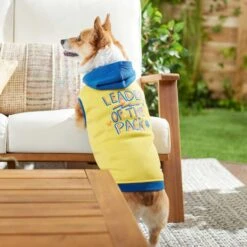 Frisco Leader Of The Pack Dog & Cat Hoodie -Pet Cat Store 248905 PT5. AC SS1800 V1637682701