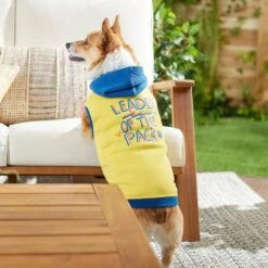 Frisco Leader Of The Pack Dog & Cat Hoodie -Pet Cat Store 248905 PT7. AC SS1800 V1613752118