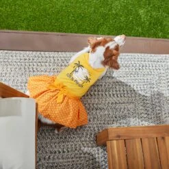 Frisco Fun In The Sun Dog & Cat Dress -Pet Cat Store 249058 PT4. AC SS1800 V1637668124