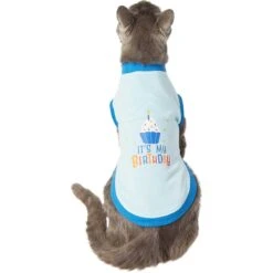 Frisco It's My Birthday & Cat T-Shirt -Pet Cat Store 249249 PT2. AC SS1800 V1624604252