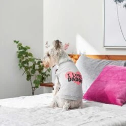 Frisco I Love Daddy Dog & Cat T-Shirt, Gray 14 Frisco I Love Daddy Dog & Cat T-Shirt, Gray -Pet Cat Store 249263 PT5. AC SS1800 V1624592867