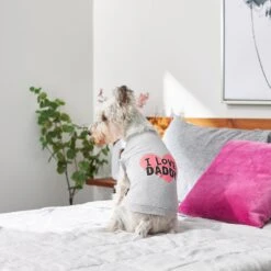 Frisco I Love Daddy Dog & Cat T-Shirt, Gray 15 Frisco I Love Daddy Dog & Cat T-Shirt, Gray -Pet Cat Store 249263 PT7. AC SS1800 V1614284197