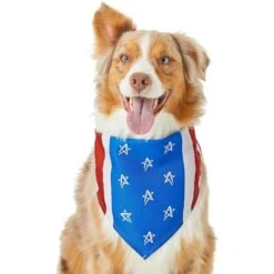 Frisco Stars & Stripes Dog & Cat Bandana 12 Frisco Stars & Stripes Dog & Cat Bandana -Pet Cat Store 249329 PT2. AC SS1800 V1632418569