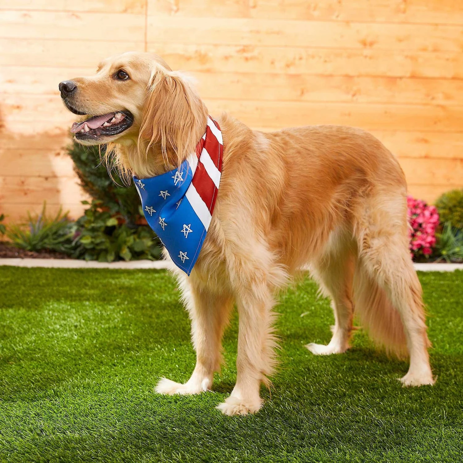 Frisco Stars & Stripes Dog & Cat Bandana 8 Frisco Stars & Stripes Dog & Cat Bandana - Image 6