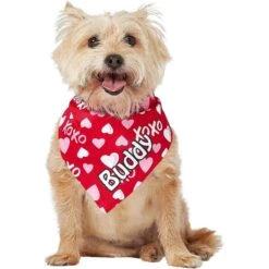 Frisco XOXO Hearts Personalized Dog & Cat Bandana -Pet Cat Store 254203 PT6. AC SS1800 V1632427913