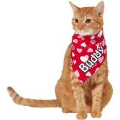 Frisco XOXO Hearts Personalized Dog & Cat Bandana -Pet Cat Store 254203 PT7. AC SS1800 V1632417974