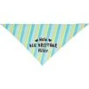 Frisco Big Brother Personalized Dog & Cat Bandana -Pet Cat Store 254231 MAIN. AC SS1800 V1633064216