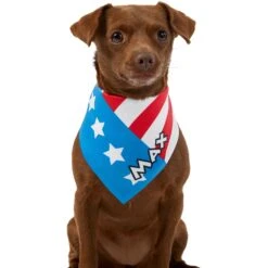 Frisco Americana Personalized Dog & Cat Bandana 16 Frisco Americana Personalized Dog & Cat Bandana -Pet Cat Store 254239 PT6. AC SS1800 V1619558231