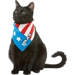 Frisco Americana Personalized Dog & Cat Bandana 17 Frisco Americana Personalized Dog & Cat Bandana -Pet Cat Store 254239 PT7. AC SS1800 V1619559761
