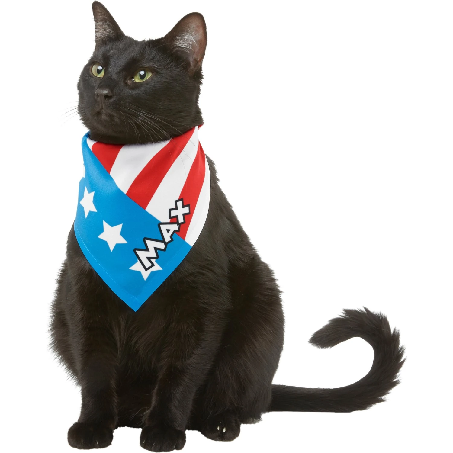Frisco Americana Personalized Dog & Cat Bandana 9 Frisco Americana Personalized Dog & Cat Bandana - Image 8