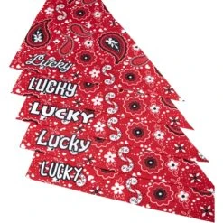Frisco Paisley Printed Personalized Dog & Cat Bandana 15 Frisco Paisley Printed Personalized Dog & Cat Bandana -Pet Cat Store 254247 PT4. AC SS1800 V1618511570