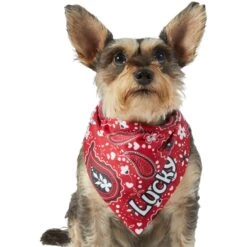 Frisco Paisley Printed Personalized Dog & Cat Bandana 17 Frisco Paisley Printed Personalized Dog & Cat Bandana -Pet Cat Store 254247 PT6. AC SS1800 V1618507975