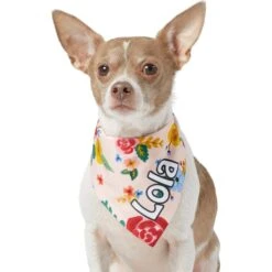Frisco Floral Personalized Dog & Cat Bandana 17 Frisco Floral Personalized Dog & Cat Bandana -Pet Cat Store 254255 PT6. AC SS1800 V1618507356