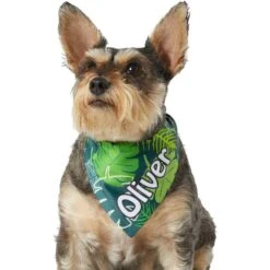 Frisco Tropical Palms Personalized Dog & Cat Bandana -Pet Cat Store 254259 PT6. AC SS1800 V1632425201