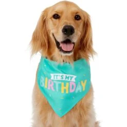 Frisco Happy Birthday Dog & Cat Crown & Frisco Dog & Cat Birthday Bandana -Pet Cat Store 255523 PT3. AC SS1800 V1603716114