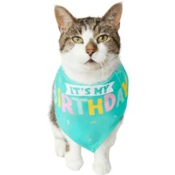 Frisco Happy Birthday Dog & Cat Crown & Frisco Dog & Cat Birthday Bandana -Pet Cat Store 255523 PT4. AC SS1800 V1603716120