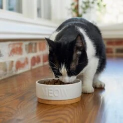 Frisco Round Meow Non-skid Ceramic Cat Bowl With Wood Base 10 Frisco Round Meow Non-skid Ceramic Cat Bowl With Wood Base -Pet Cat Store 256078 PT2. AC SS1800 V1615313612