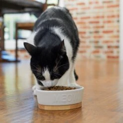 Frisco Oval Meow Non-skid Ceramic Cat Bowl With Wood Base 10 Frisco Oval Meow Non-skid Ceramic Cat Bowl With Wood Base -Pet Cat Store 256080 PT2. AC SS1800 V1615310782