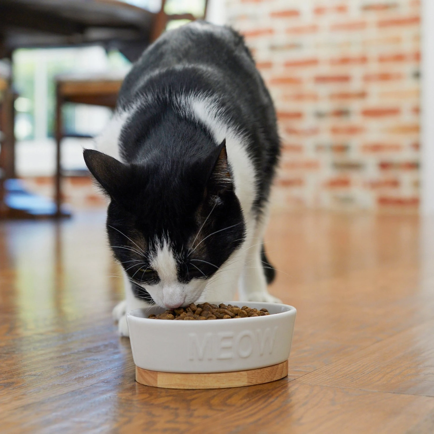 Frisco Oval Meow Non-skid Ceramic Cat Bowl With Wood Base 5 Frisco Oval Meow Non-skid Ceramic Cat Bowl With Wood Base - Image 3