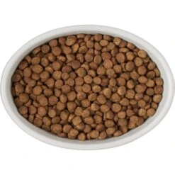 Frisco Oval Meow Non-skid Ceramic Cat Bowl With Wood Base 13 Frisco Oval Meow Non-skid Ceramic Cat Bowl With Wood Base -Pet Cat Store 256080 PT5. AC SS1800 V1615312016