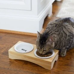 Frisco Double Elevated Cat Bowl With Wood Stand -Pet Cat Store 256082 PT2. AC SS1800 V1615312650