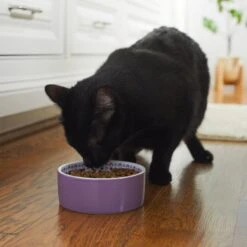 Frisco Kaleidoscope Pattern Non-skid Ceramic Dog & Cat Bowl -Pet Cat Store 256090 PT2. AC SS1800 V1615311092