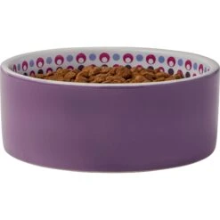 Frisco Kaleidoscope Pattern Non-skid Ceramic Dog & Cat Bowl -Pet Cat Store 256090 PT3. AC SS1800 V1615311698