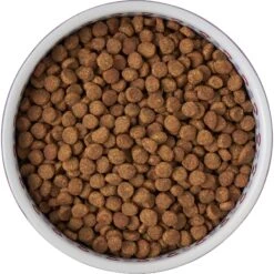 Frisco Kaleidoscope Pattern Non-skid Ceramic Dog & Cat Bowl -Pet Cat Store 256090 PT5. AC SS1800 V1615312887