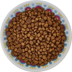Frisco Kaleidoscope Pattern Non-skid Ceramic Cat Dish -Pet Cat Store 256092 PT5. AC SS1800 V1617042691